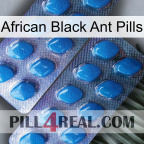 African Black Ant Pills viagra2